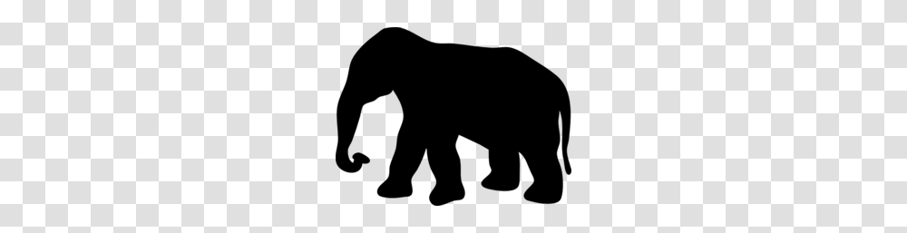 Download Elephant Silhouette Gif Clipart African Elephant, Gray, World Of Warcraft Transparent Png