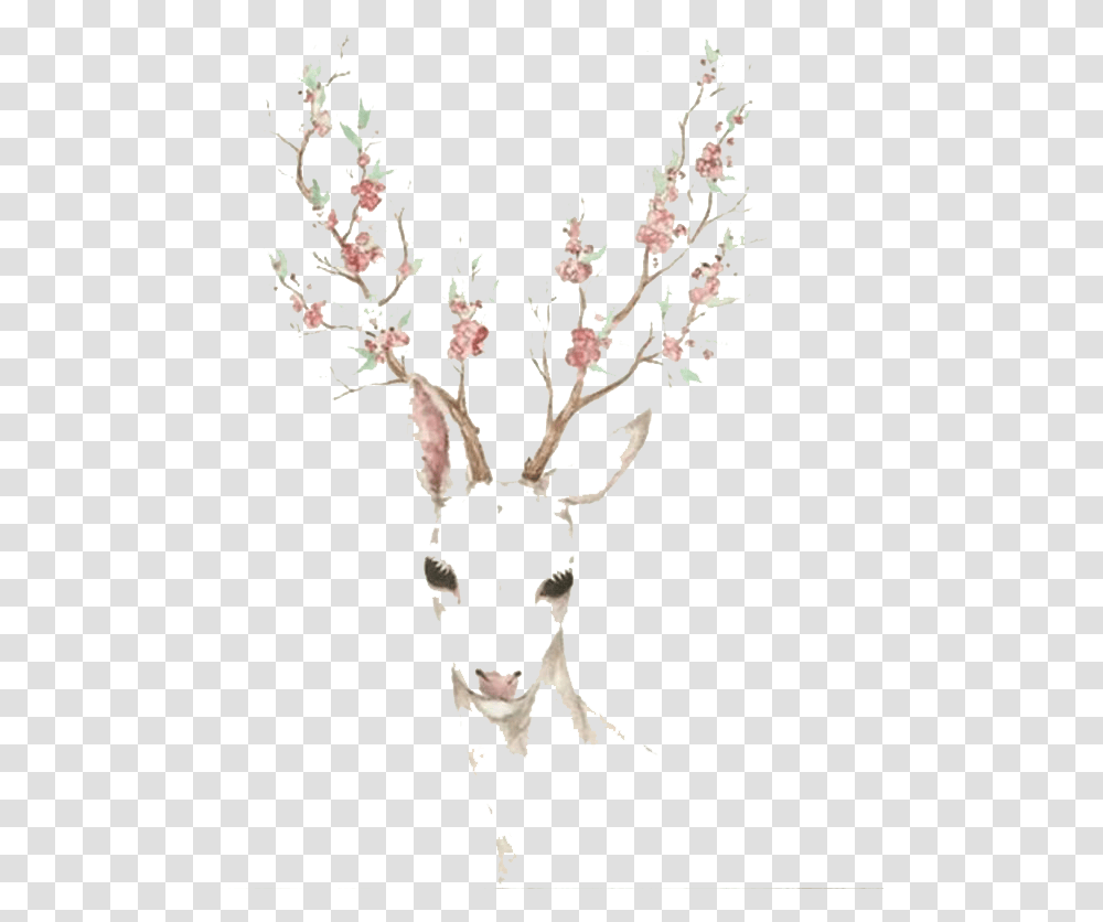 Download Elk Blossom Cherry Deer Deer With Flower Antlers Drawing, Plant, Stencil Transparent Png