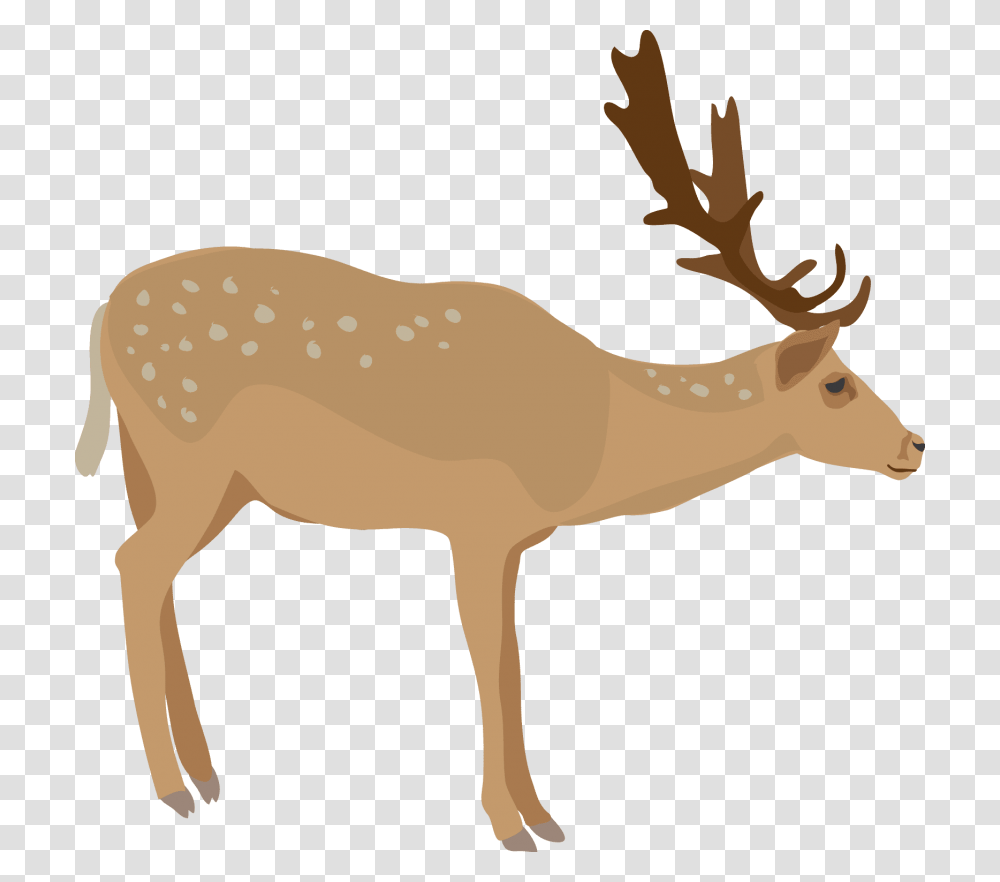 Download Elk Images Background Elk, Deer, Wildlife, Mammal, Animal Transparent Png