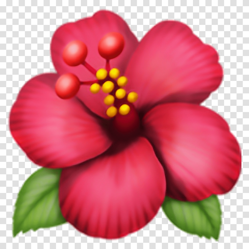 Download Emoji Flor Pngs Adesivo Flower Clip Art Hibiscus Flower Emoji, Plant, Blossom, Anther, Petal Transparent Png