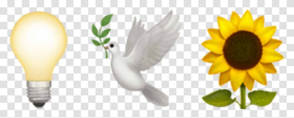 Download Emojis Emoji Overlays Overlay Sunflower Emoji, Dove, Pigeon, Bird, Animal Transparent Png
