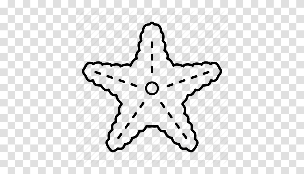 Download Estrella De Mar Para Colorear Clipart Starfish Coloring, Star Symbol Transparent Png