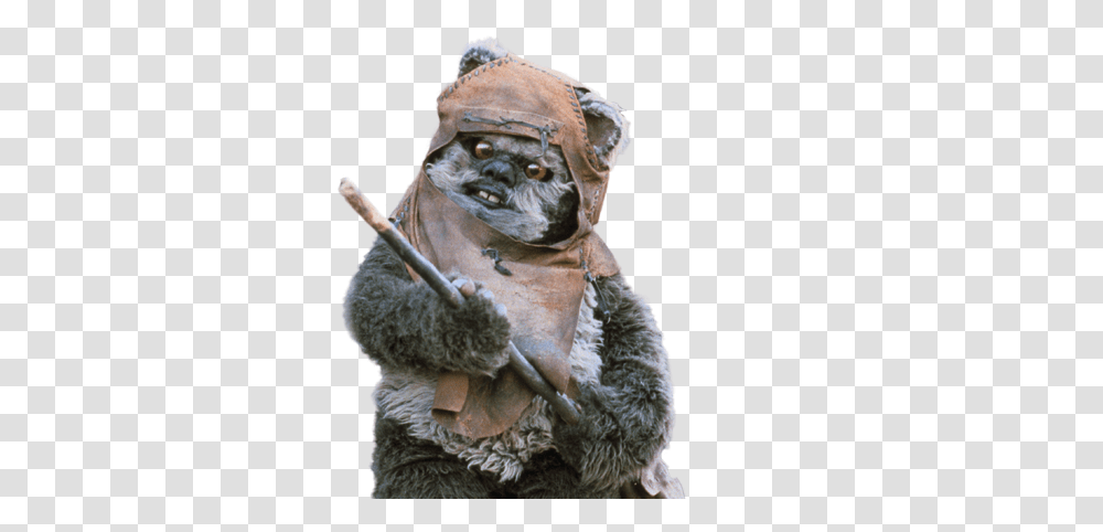 Download Ewok Dumbest Star Wars Characters, Mammal, Animal, Wildlife, Figurine Transparent Png