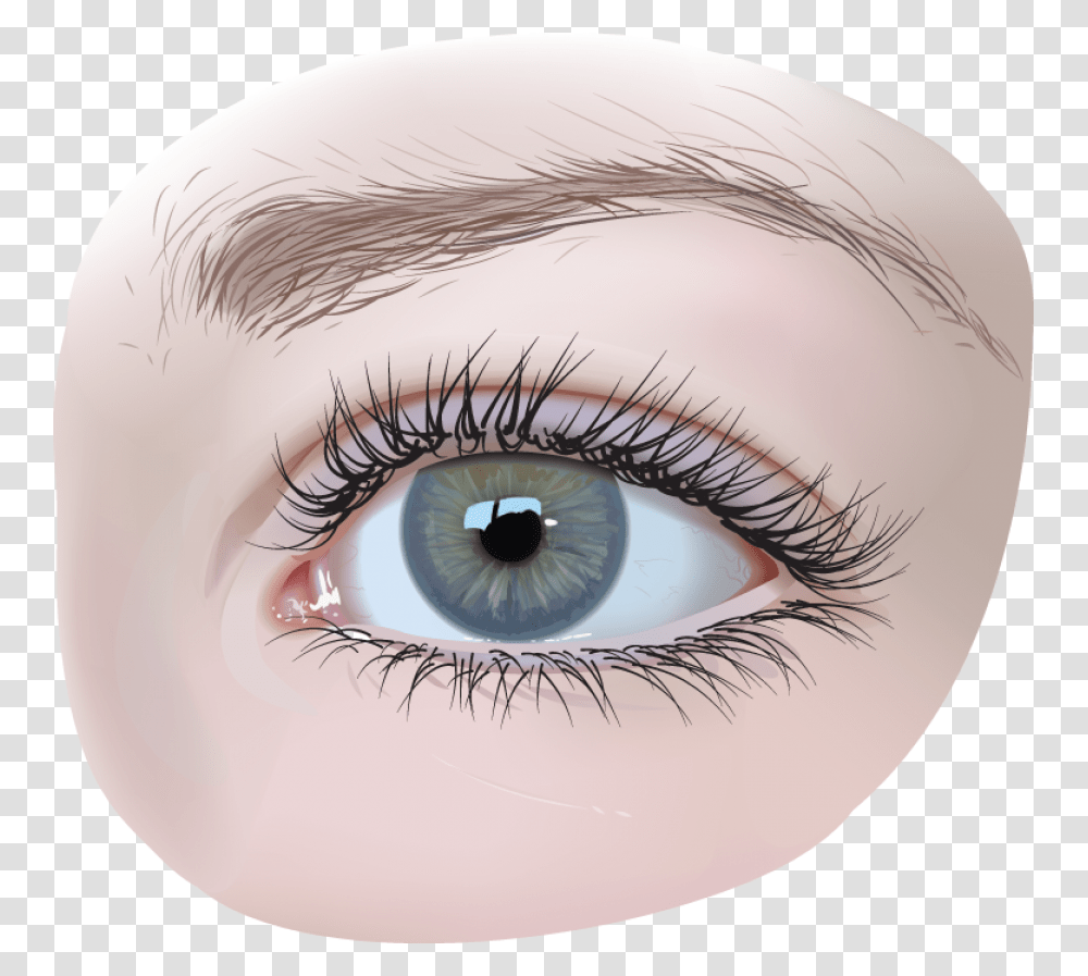 Download Eye Image For Free Eyes, Contact Lens, Art, Drawing Transparent Png