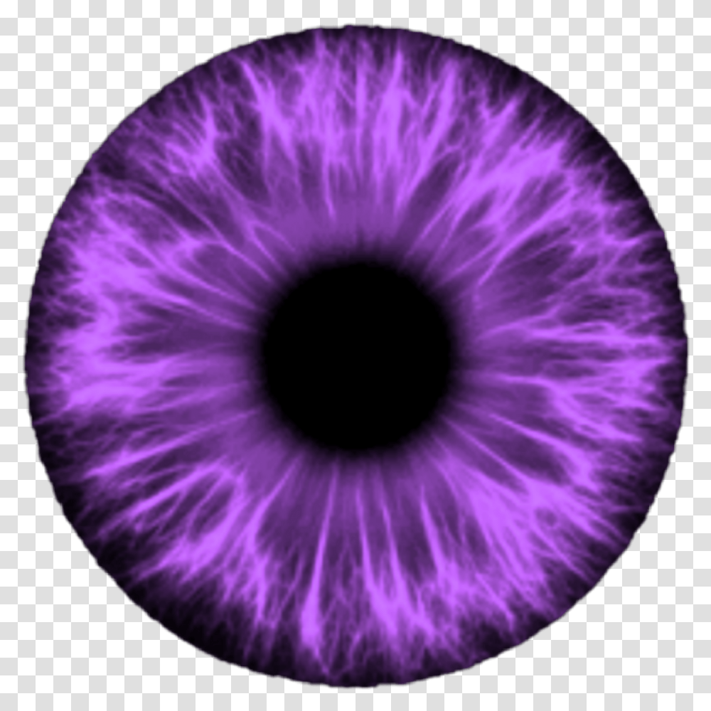 Download Eyeball Sticker Eyes For Editing Image With Halos Around Lights Glaucoma, Sphere, Purple, Photography, Plant Transparent Png