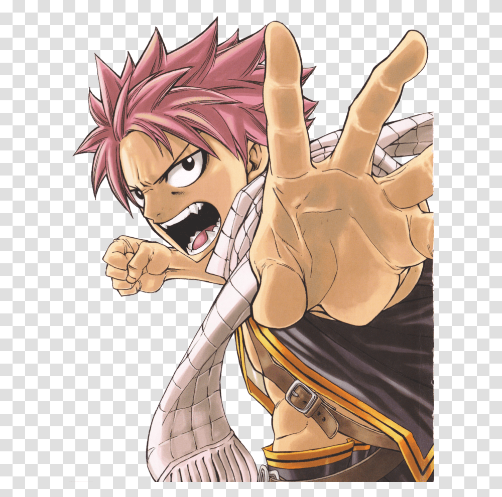 Download Fairy Tail Background For Designing Natsu Dragneel Dragon Slayer Fairy Tail, Manga, Comics, Book, Person Transparent Png
