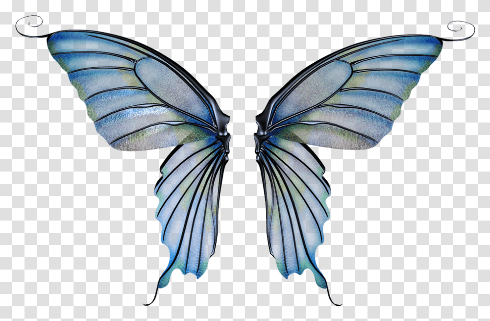 Download Fairy Wing Fairy Wings Background Background Fairy Wings, Insect, Invertebrate, Animal, Bird Transparent Png