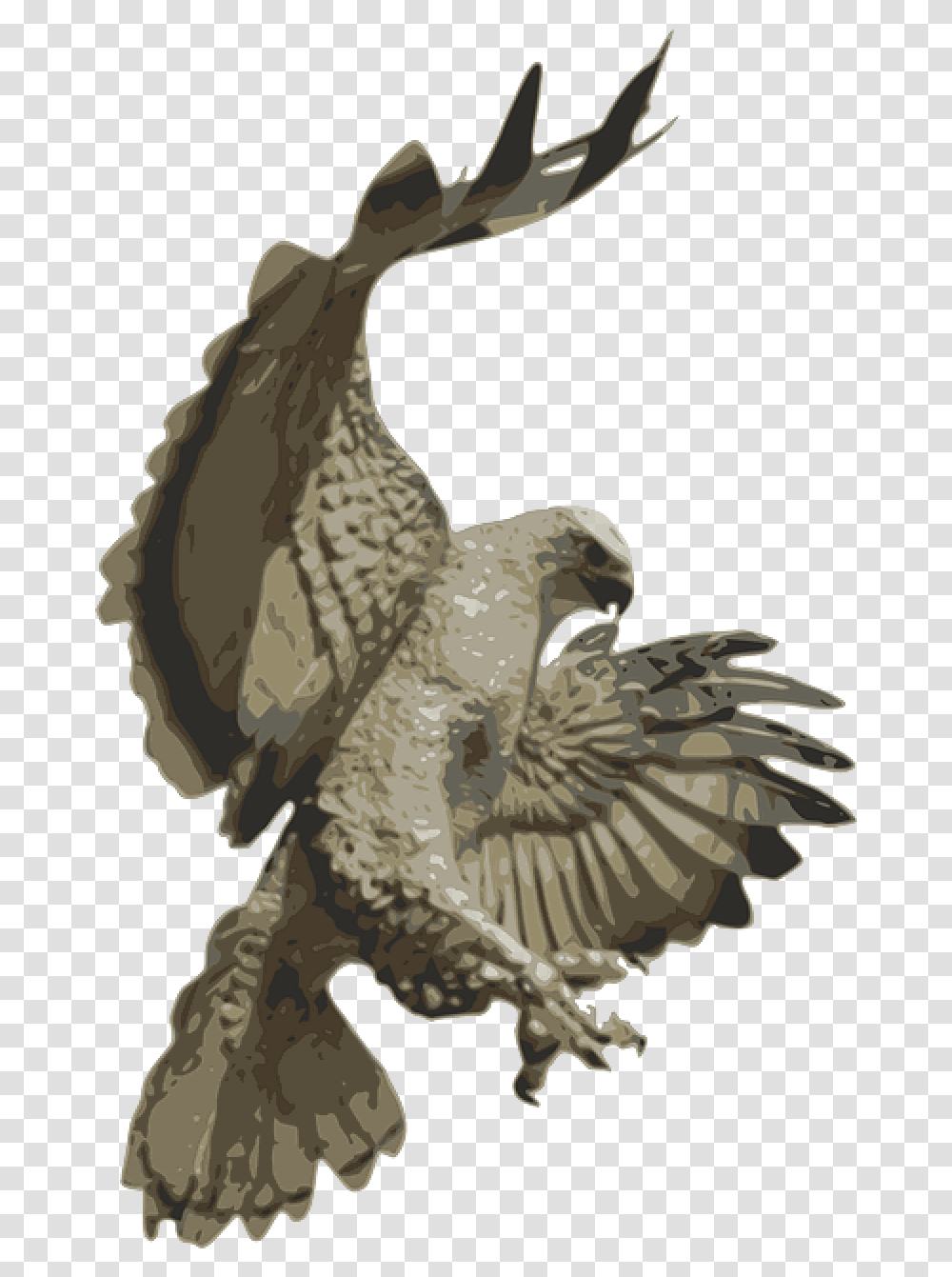 Download Falcons Phoenix Birds Bird Flying Eagle Hawk Pouncing, Animal, Art, Turkey Bird, Poultry Transparent Png