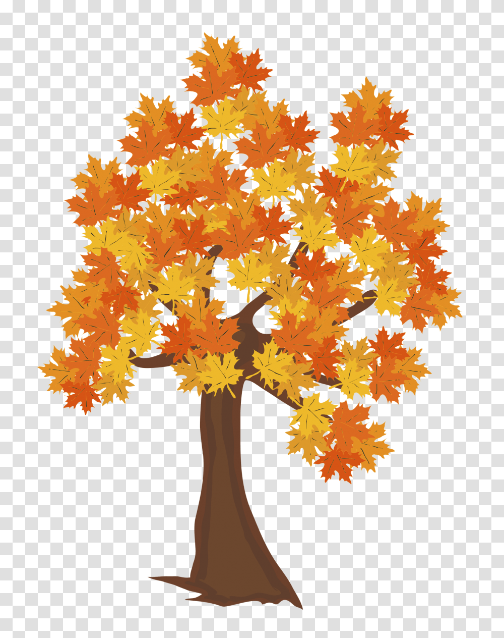 Download Fall Tree Image Autumn Tree Drawing, Leaf, Plant, Maple, Maple Leaf Transparent Png