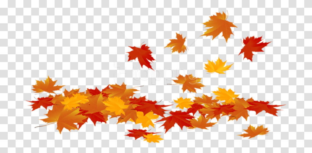 Download Fallen Leaves Clipart Background Fall Leaves Clip Art, Leaf, Plant, Tree, Maple Transparent Png