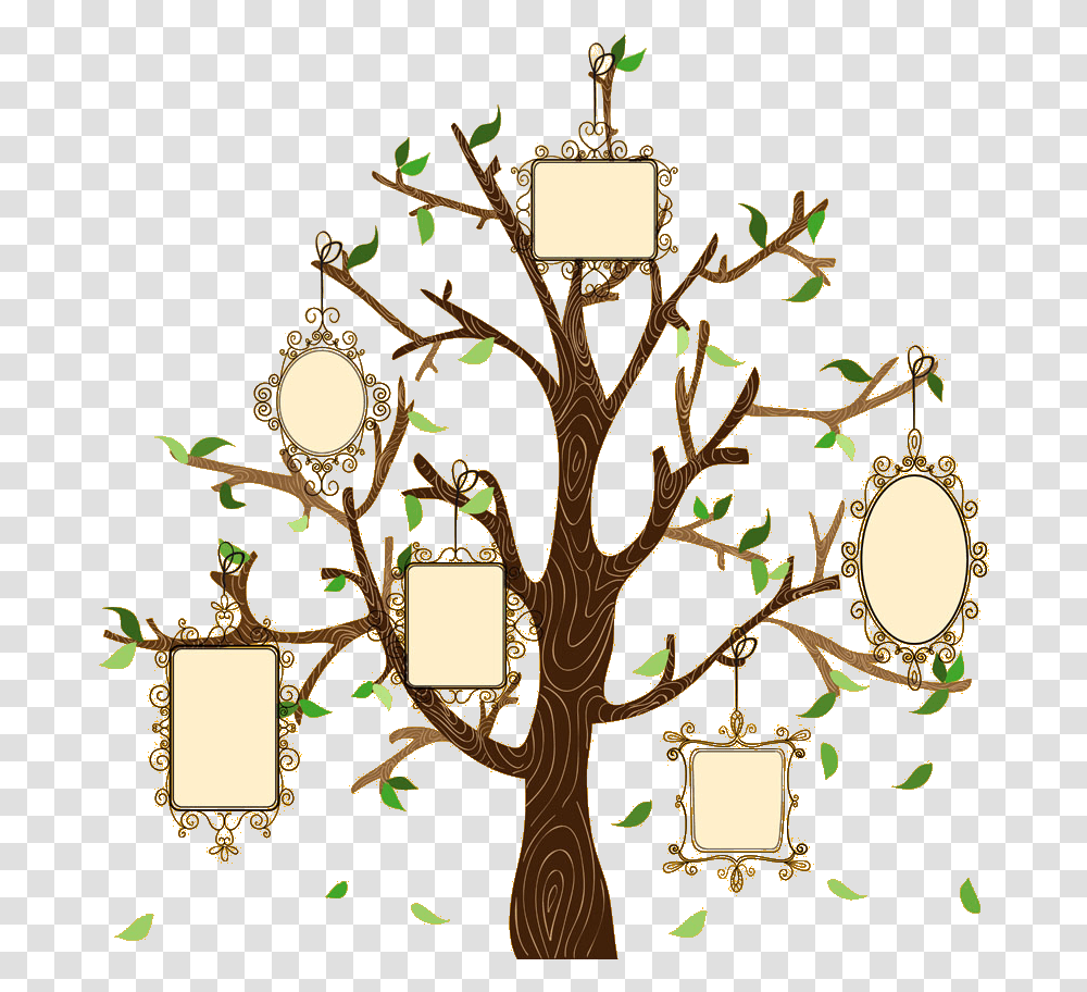 Download Family Tree Illustration Creative Euclidean Vector Frame For Family Tree, Plant, Chandelier, Lamp, Lighting Transparent Png