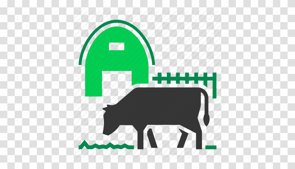 Download Farmer Cow Icon Clipart Angus Cattle Beef Cattle Baka, Poster, Animal, Urban, Mammal Transparent Png