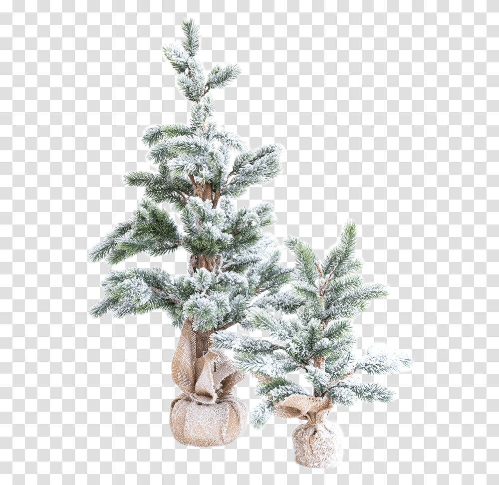 Download Faux Snowy Pine Tree 2 Christmas Tree, Plant, Ornament, Crystal, Conifer Transparent Png