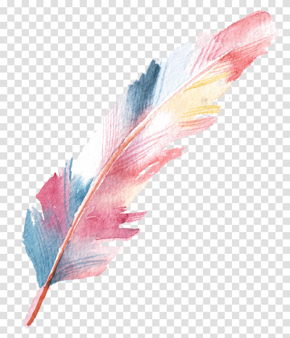 Download Feather Colorful Drawing Watercolor Handpainting Background, Leaf, Plant, Bird, Animal Transparent Png