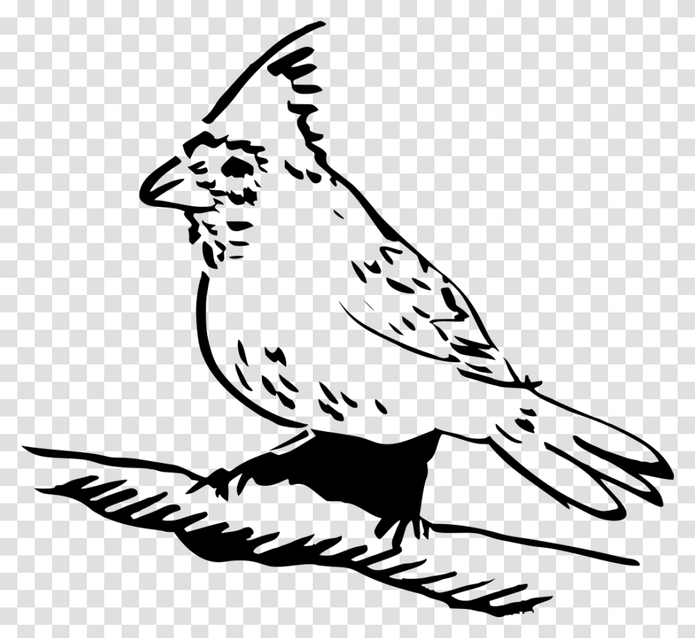 Download Feather Perched Clipart, Gray, World Of Warcraft Transparent Png