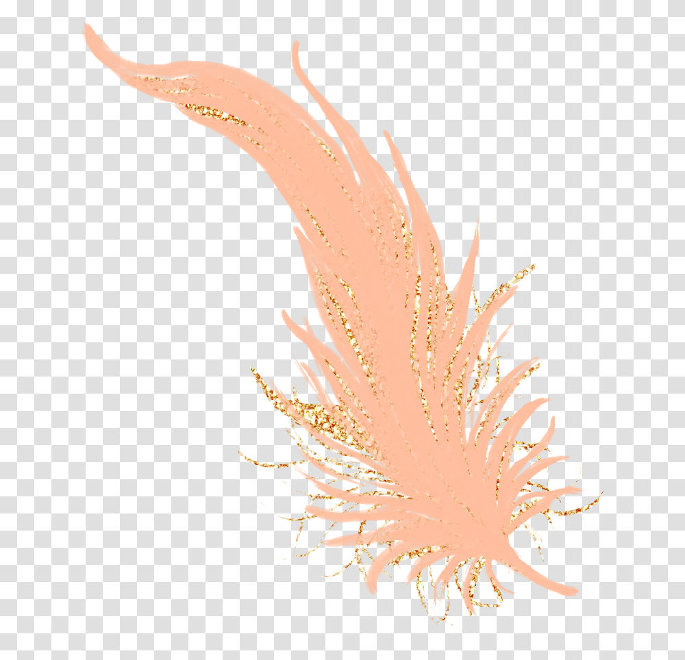 Download Feathers Feather Pastel Golden Gold Rosegold Feather Rose Gold, Plant, Grass, Moss, Bird Transparent Png
