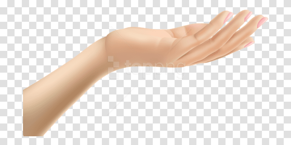 Download Female Hand Clip Art Hands, Wrist, Finger, Arm Transparent Png
