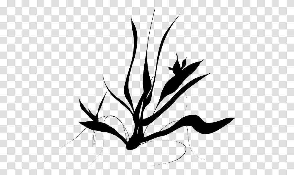 Download Fern Clipart, Gray, World Of Warcraft Transparent Png