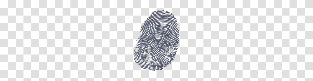 Download Fingerprint Free Photo Images And Clipart Freepngimg, Sphere, Spiral, Astronomy Transparent Png