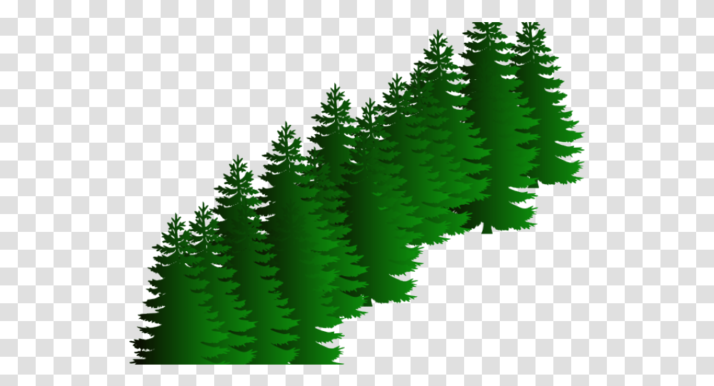 Download Fir Clipart Evergreen Tree Free Vector Tree Silhouette, Leaf, Plant, Fern Transparent Png