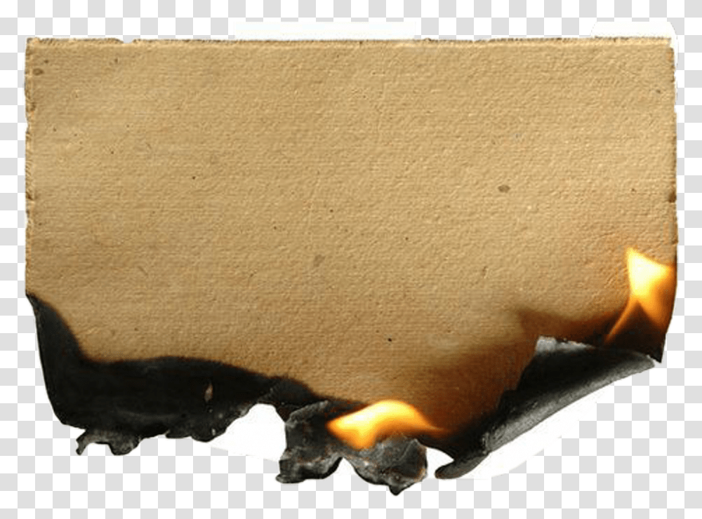 Download Fire Burning Paper, Rug, Cardboard, Animal, Bat Transparent Png