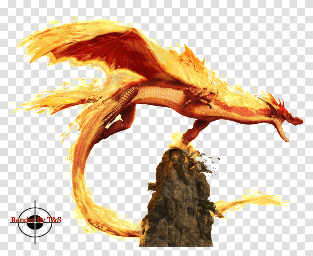 Download Fire Dragon Banner Library Fire Fire Dragon, Dinosaur, Reptile, Animal, Bird Transparent Png