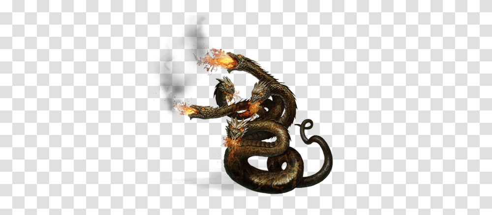 Download Fire Hydra Dragon Escupiendo Fuego, Snake, Reptile, Animal, Sweets Transparent Png