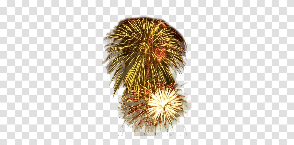 Download Firework Effects Wish Image With No Statue Of Liberty Fireworks, Nature, Outdoors, Night, Plant Transparent Png