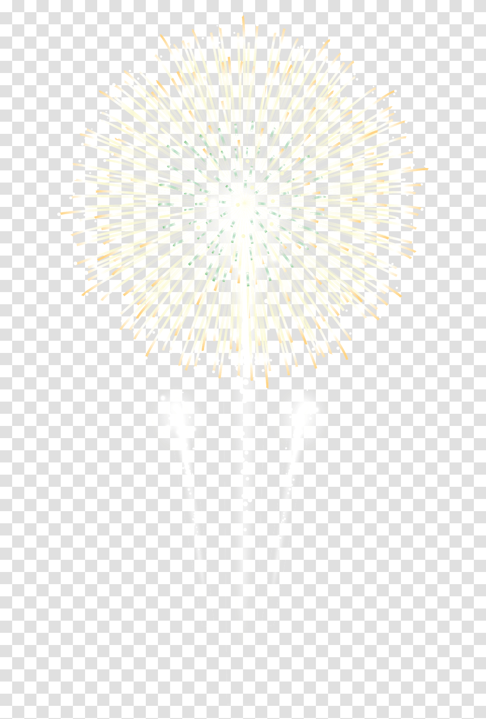 Download Fireworks Image With No Fireworks, Plant, Flower, Blossom, Lighting Transparent Png