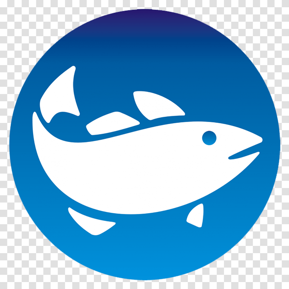 Download Fishing Icon Fish In A Circle Symbol Full Fish In A Circle Symbol, Shark, Sea Life, Animal, Logo Transparent Png