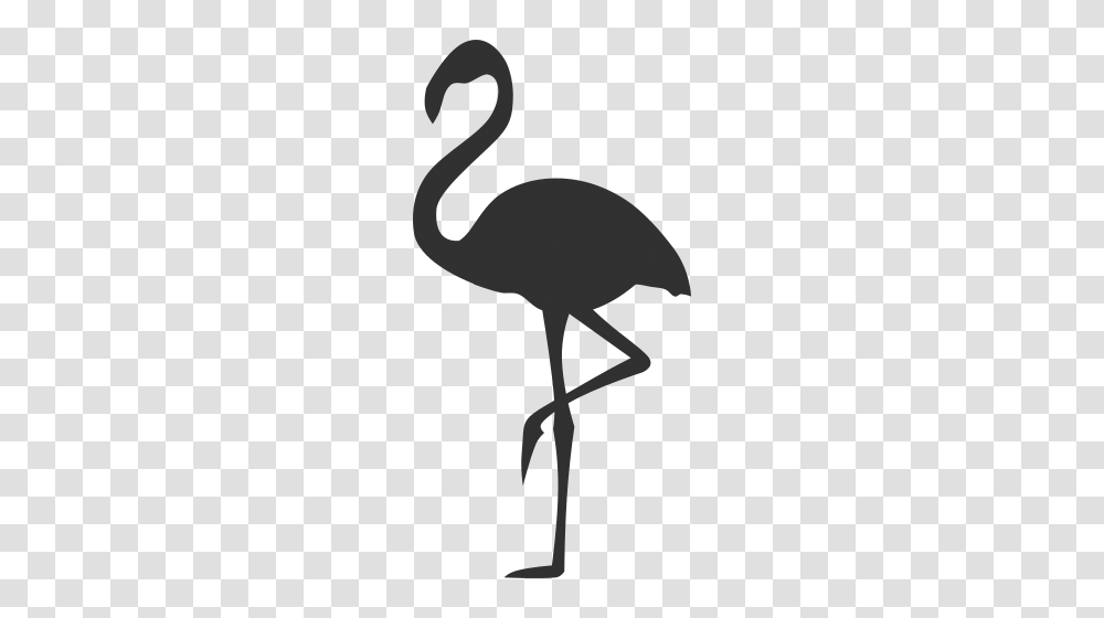 Download Flamingo Icon, Bird, Animal, Ostrich, Waterfowl Transparent Png
