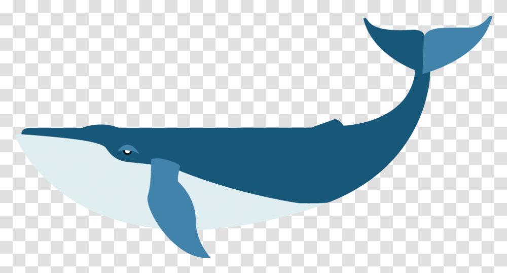 Download Flat Blue Whale Image With Cetaceans, Mammal, Sea Life, Animal, Shark Transparent Png