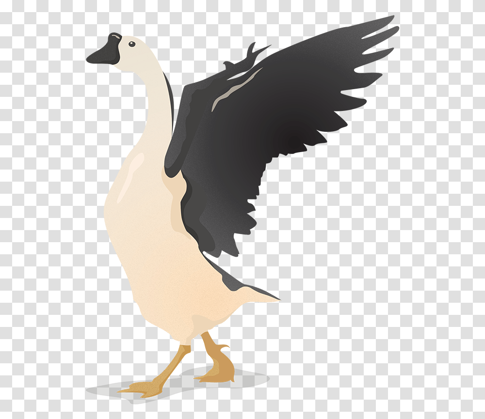 Download Flat Vector Birds Geese Illustration, Goose, Animal, Waterfowl, Crane Bird Transparent Png