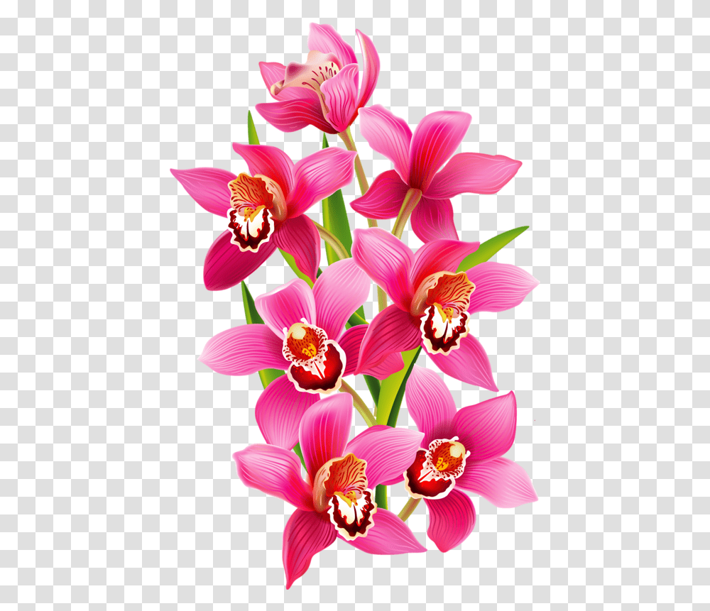Download Fleurs Flores Flowers Bloemen Coloring Book Orchids Vector, Plant, Blossom Transparent Png
