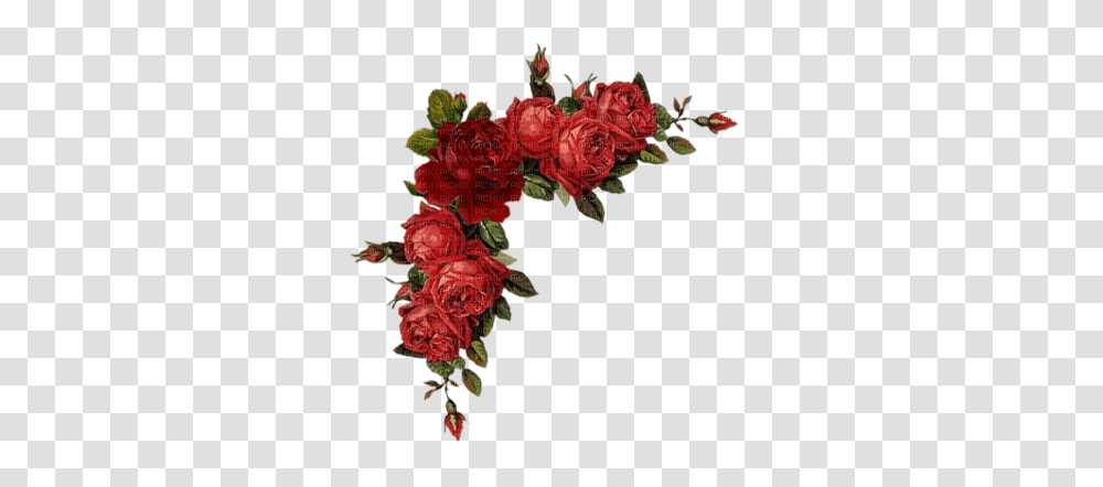 Download Flower Border Red Flowers, Plant, Blossom, Pattern, Carnation Transparent Png