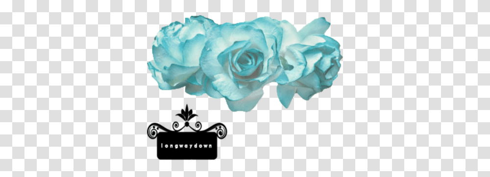 Download Flower Crown Blue Flower Crown Light Blue Flower Crown, Plant, Rose, Blossom, Carnation Transparent Png