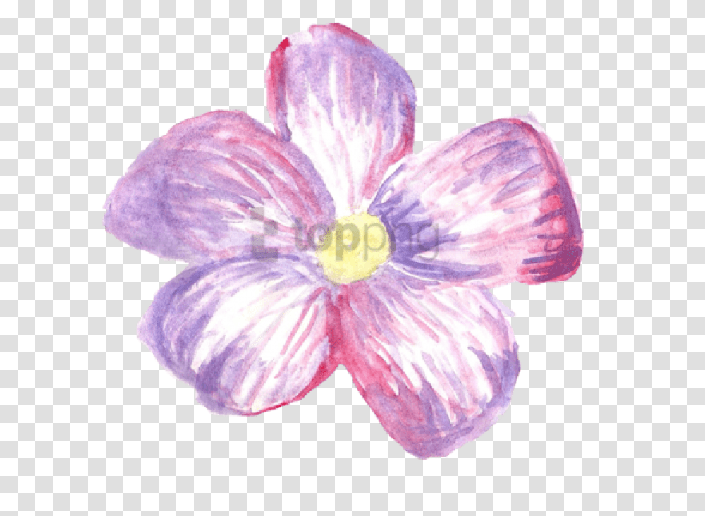 Download Flower Crown Tumblr Watercolor Flowers, Plant, Blossom, Geranium, Petal Transparent Png