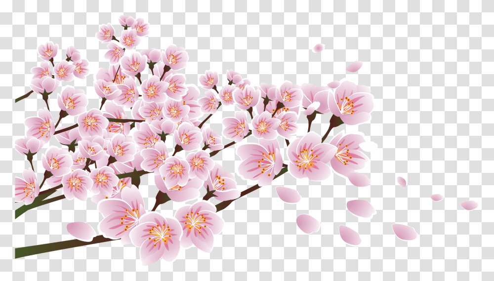 Download Flower Floral Design Blossom, Plant, Cherry Blossom Transparent Png