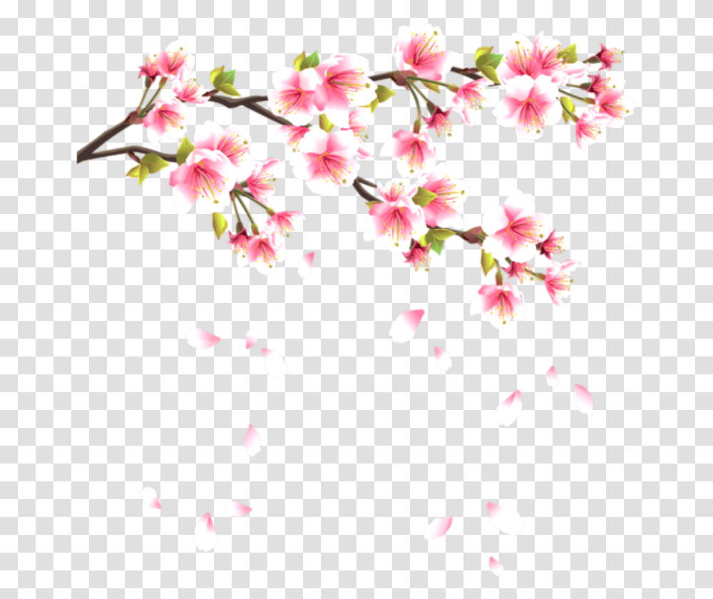 Download Flower Flowerpentals Pentals Pental Falling Pink Sakura Flower, Plant, Blossom, Petal, Cherry Blossom Transparent Png