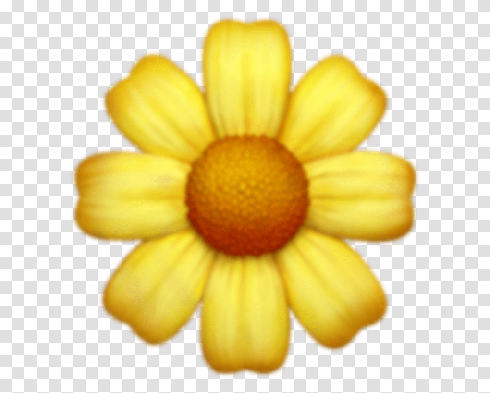 Download Flower Flowers Emoji Emojis Tumblr Sticker Iphone Flower Emoji, Plant, Blossom, Daisy, Daisies Transparent Png