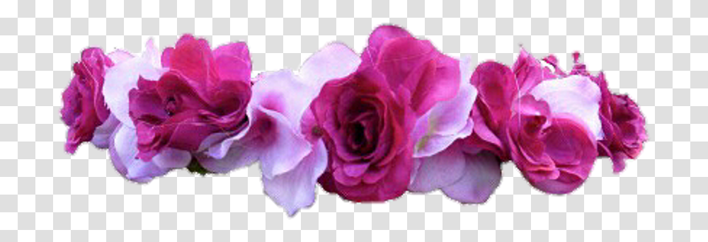 Download Flower Flowers Flowercrown Flowercrown Sticker, Plant, Rose, Blossom, Petal Transparent Png