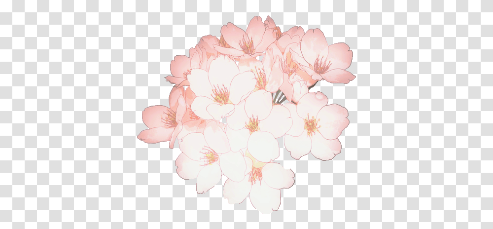 Download Flower Flowers Sakura Anime Flower, Plant, Geranium, Blossom, Cherry Blossom Transparent Png
