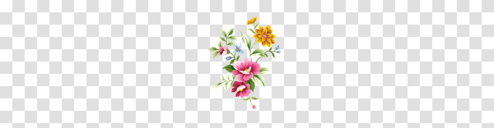 Download Flower Free Photo Images And Clipart Freepngimg, Floral Design, Pattern, Plant Transparent Png