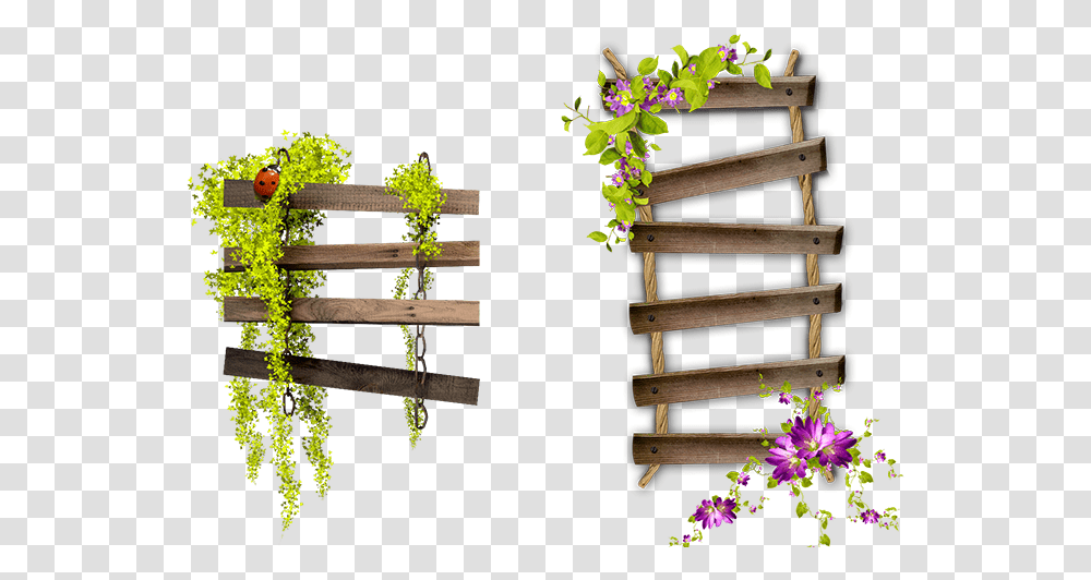 Download Flower Garden Hour Spooky Frame Bench Ladder Hq Ladder, Plant, Vase, Jar, Pottery Transparent Png