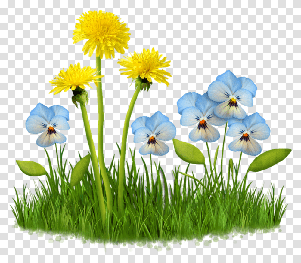 Download Flower Garden Plant Nature Grass Field Lawn Gambar Musim Semi Animasi, Blossom, Geranium, Iris, Petal Transparent Png