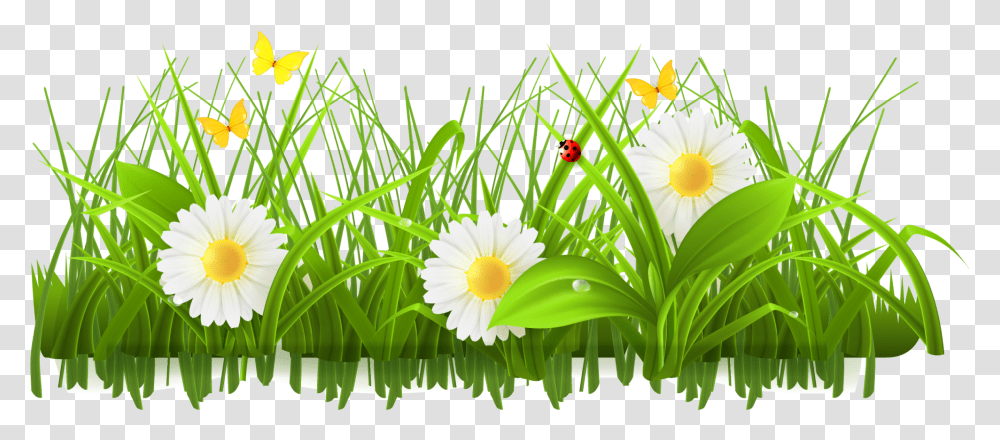Download Flower Meadow Clipart Green Flowers Clip Art Ladybug In Grass Cartoon, Plant, Daisy, Daisies, Blossom Transparent Png