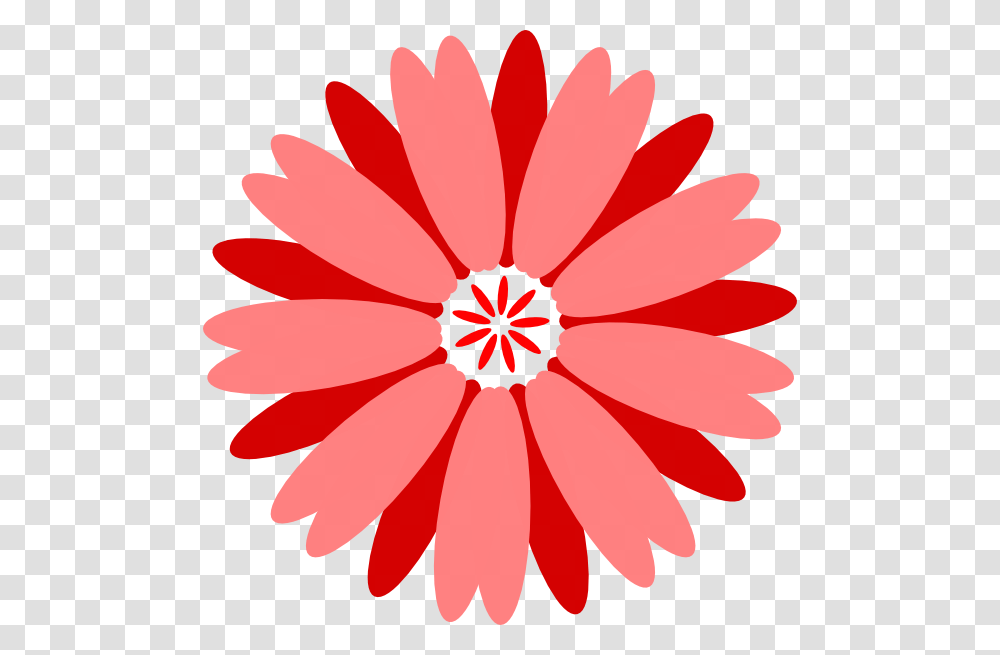 Download Flower Of Seven Color Vector Today Description, Plant, Daisy, Daisies, Blossom Transparent Png