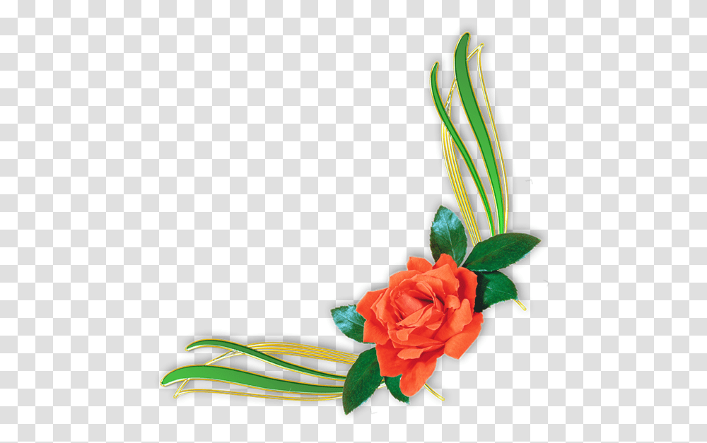 Download Flower Portable Rose Design Graphics Floral Border Flower, Plant, Blossom, Petal, Flower Arrangement Transparent Png