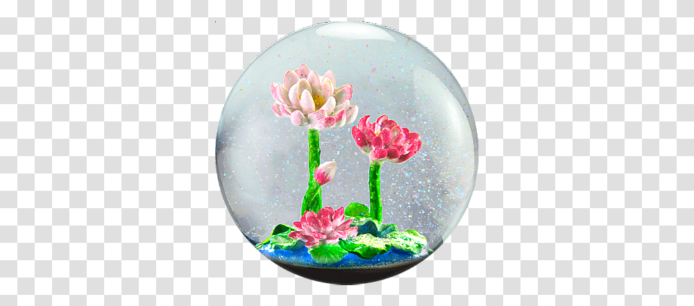 Download Flower Snow Globe Flowers In Snow Globes Full Beautiful Flowers In Snow Globes, Plant, Birthday Cake, Water, Sea Life Transparent Png