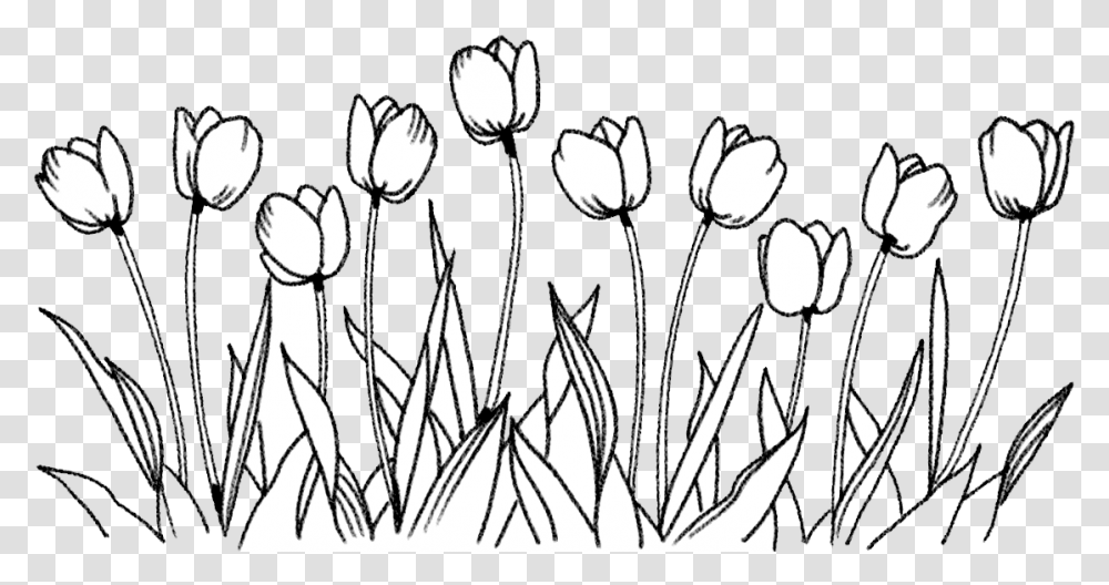 Download Flower Tulip Coloring Book Drawing Line Of Flowers, Plant, Blossom Transparent Png